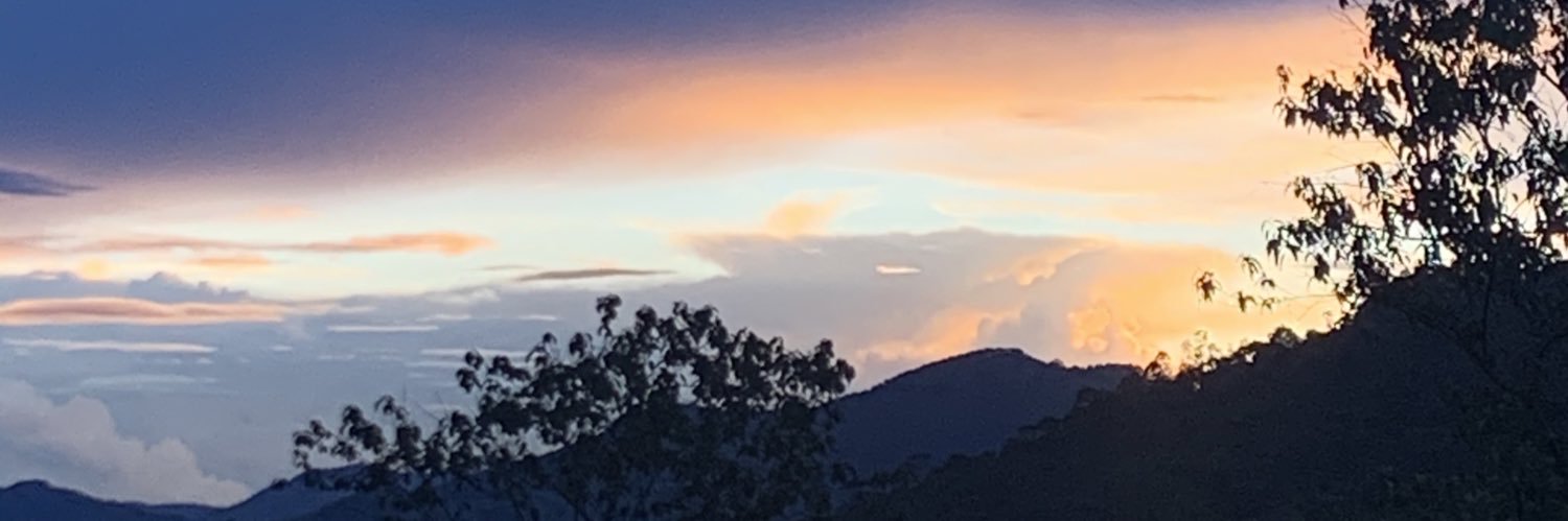 Loodmila's profile banner image