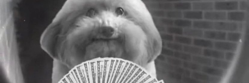 G0tt1e's profile banner image