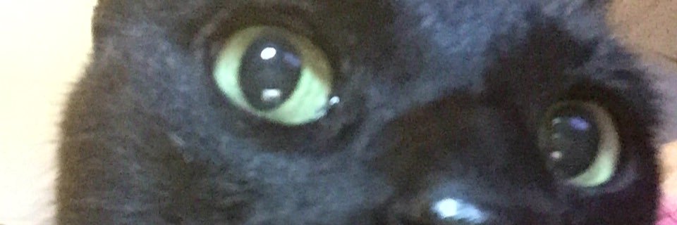 Freedomologist's profile banner image