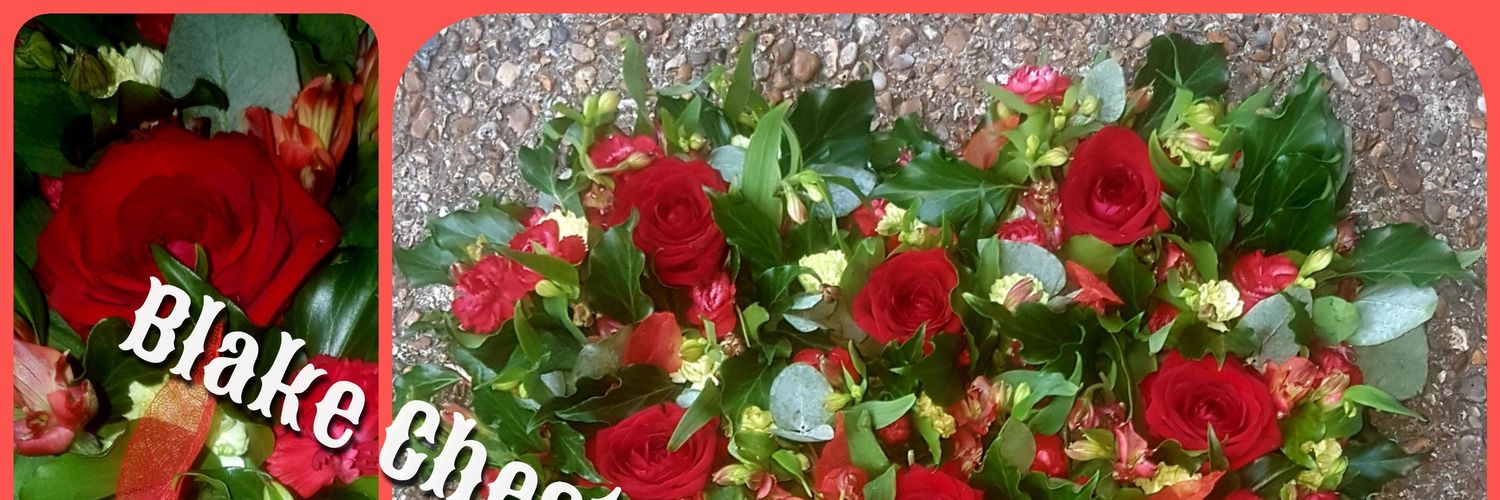 BlakeChester1's profile banner image
