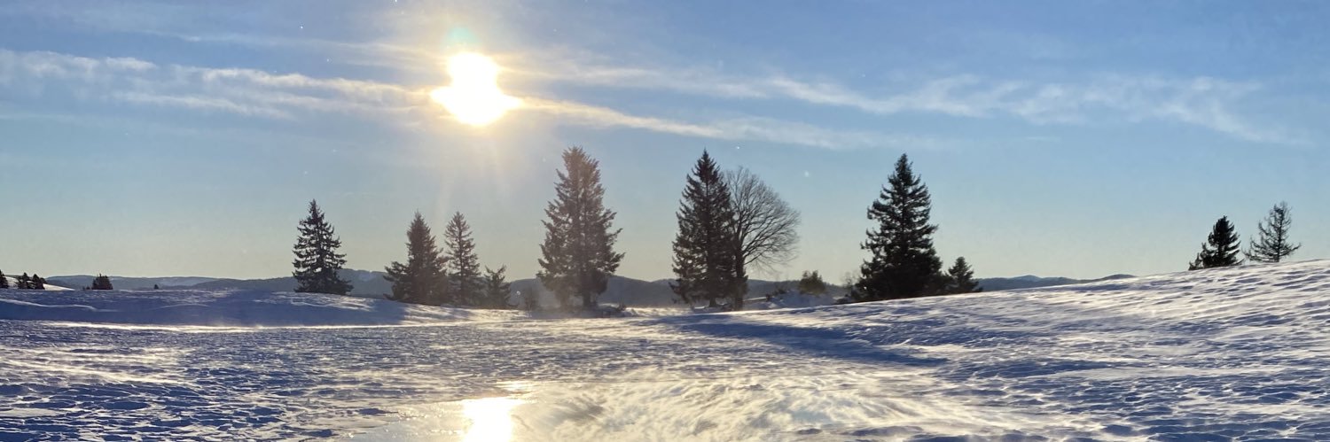 caroelse's profile banner image