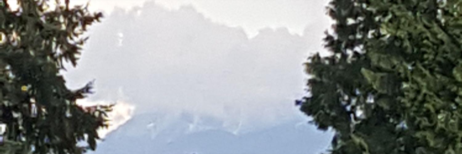 GoddessSports's profile banner image
