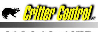 _ccorlando's profile banner image