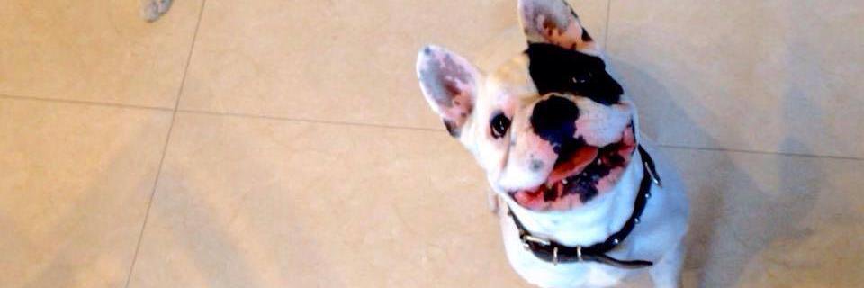 LauraSerra25's profile banner image