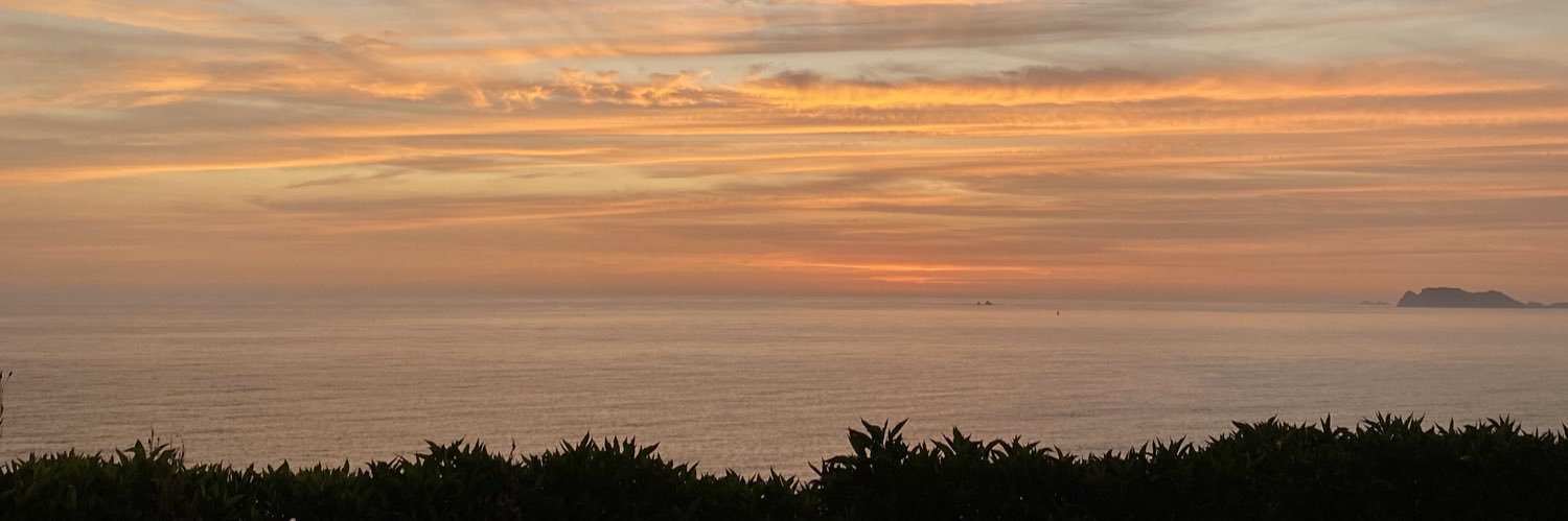 angelamp_8's profile banner image