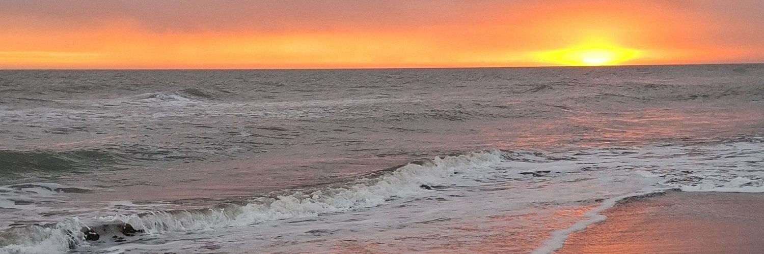 AnaPau011's profile banner image