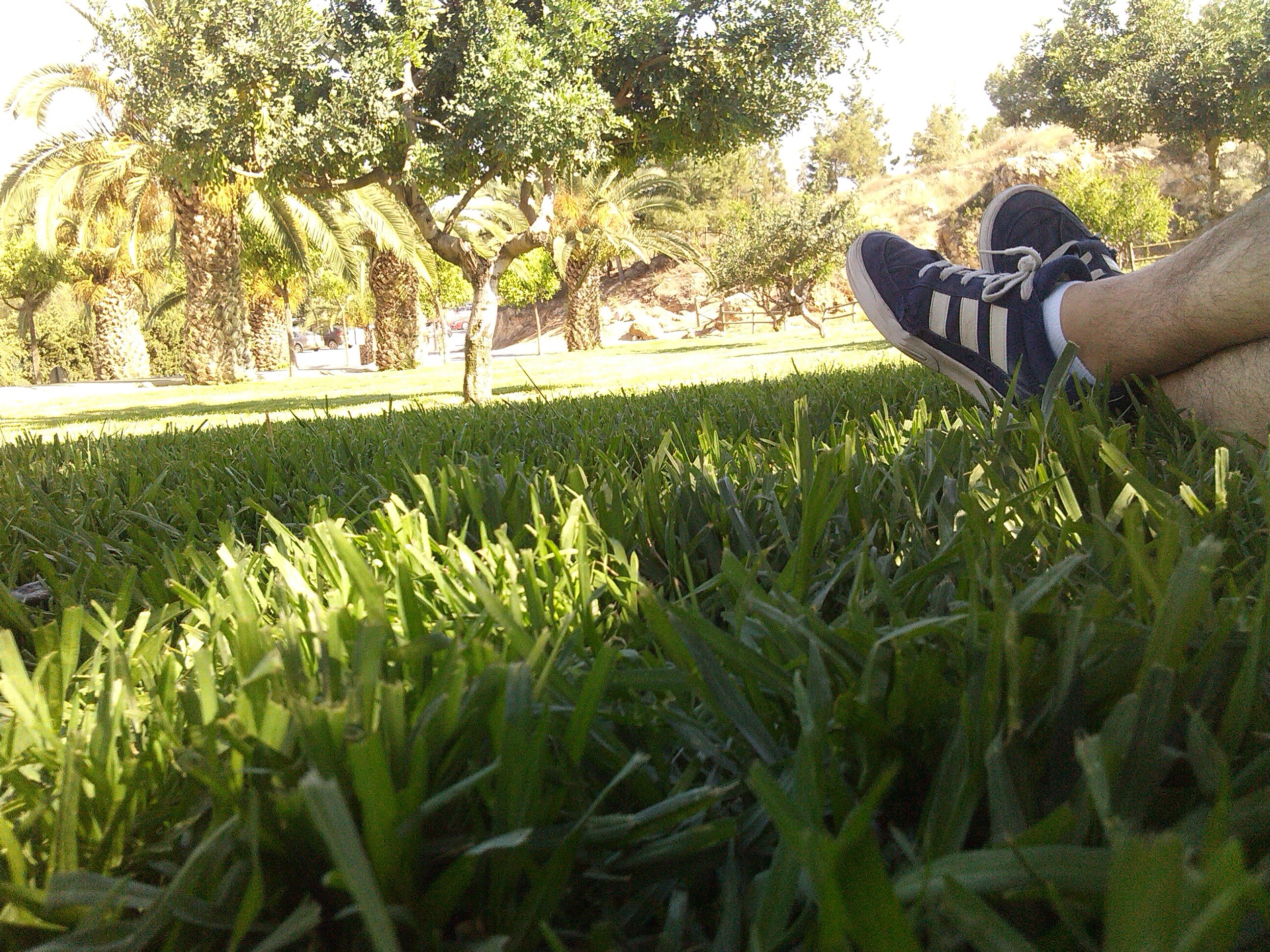 Juanpablo_ber's profile banner image