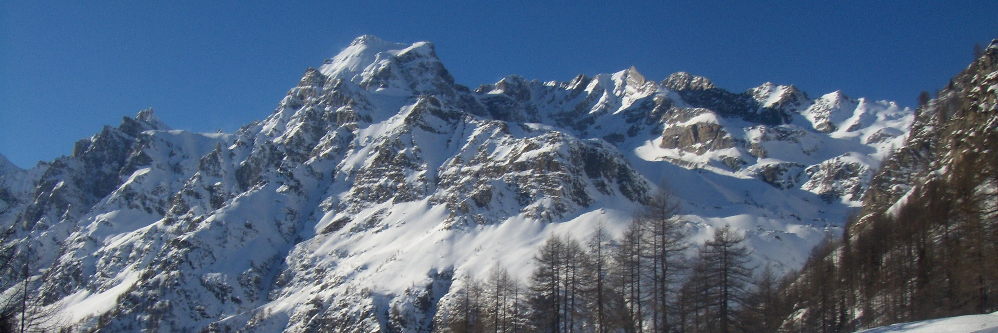 Patrizia Bellotti banner