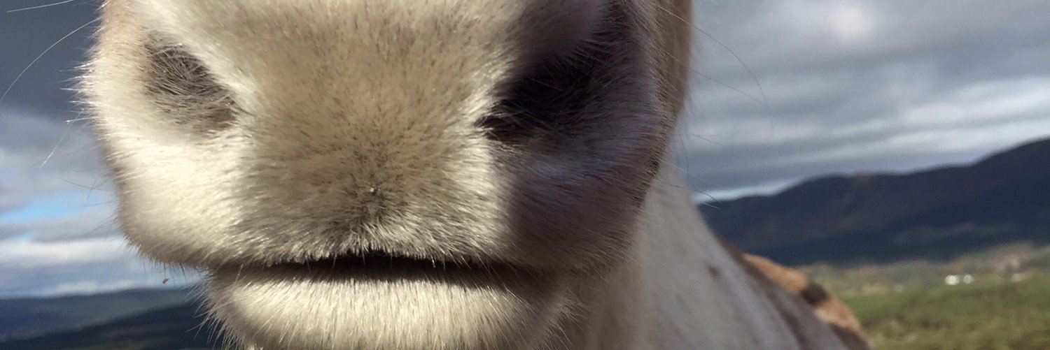 traceymurray__'s profile banner image