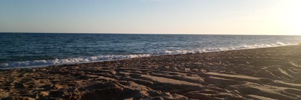 eraser Profile Banner