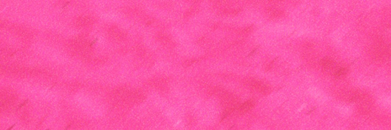 BunnySprings's profile banner image