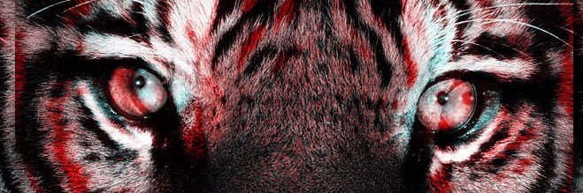 MattMcnew's profile banner image