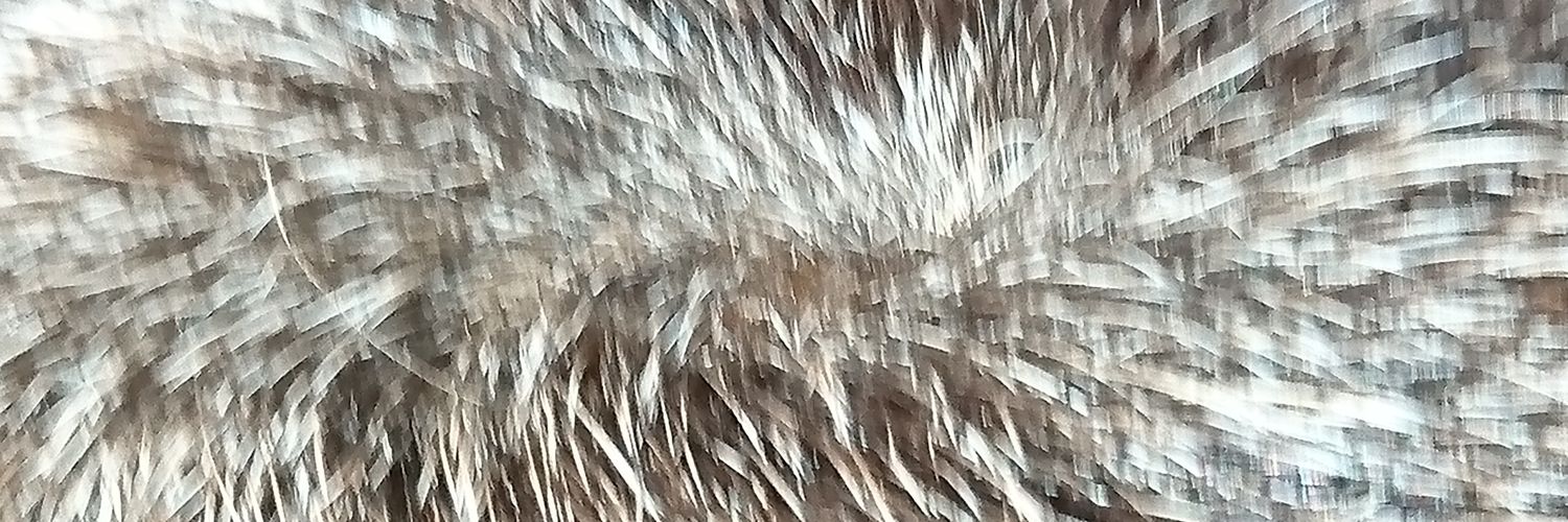 JSillac's profile banner image