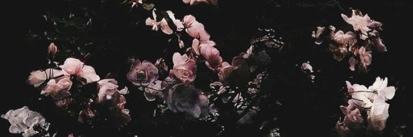 sincerequest Profile Banner