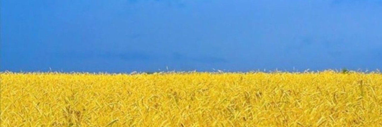 mlevhar's profile banner image