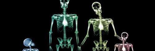 Ashleigh Genever banner