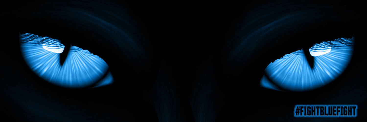 MUSabres's profile banner image
