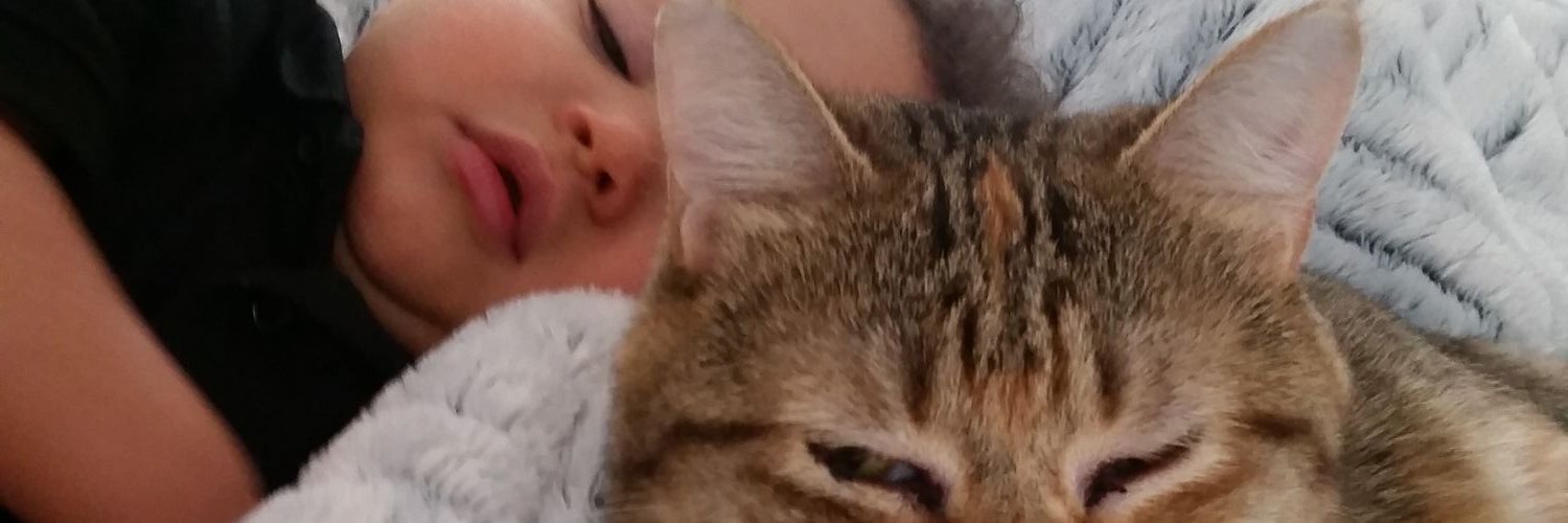 perkchopsss's profile banner image