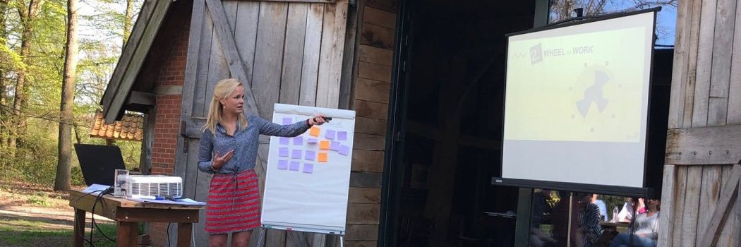 Lauri Broekhuis banner