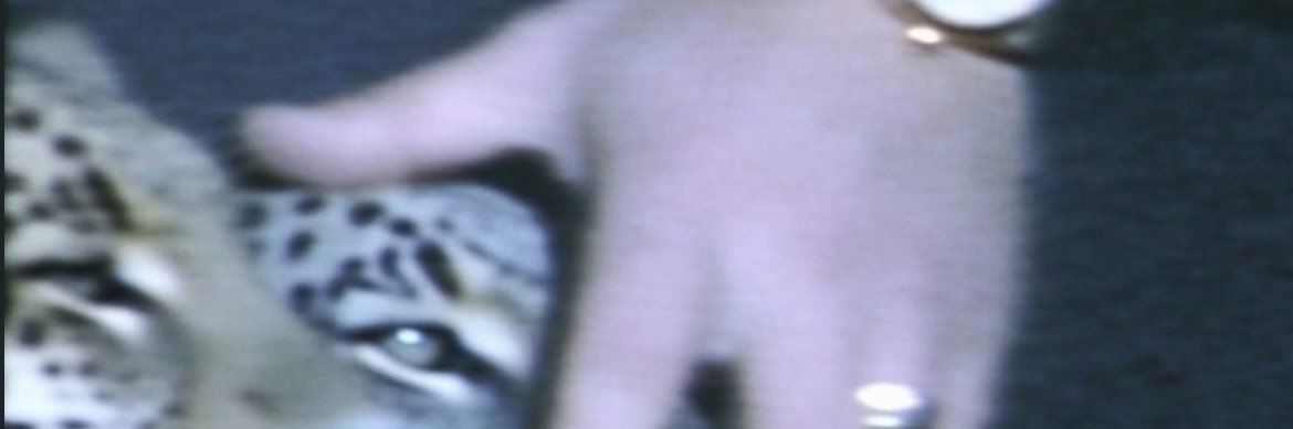 IMALLSMILESSSSS's profile banner image