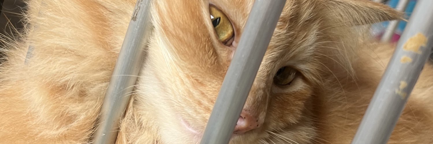 🙂 banner