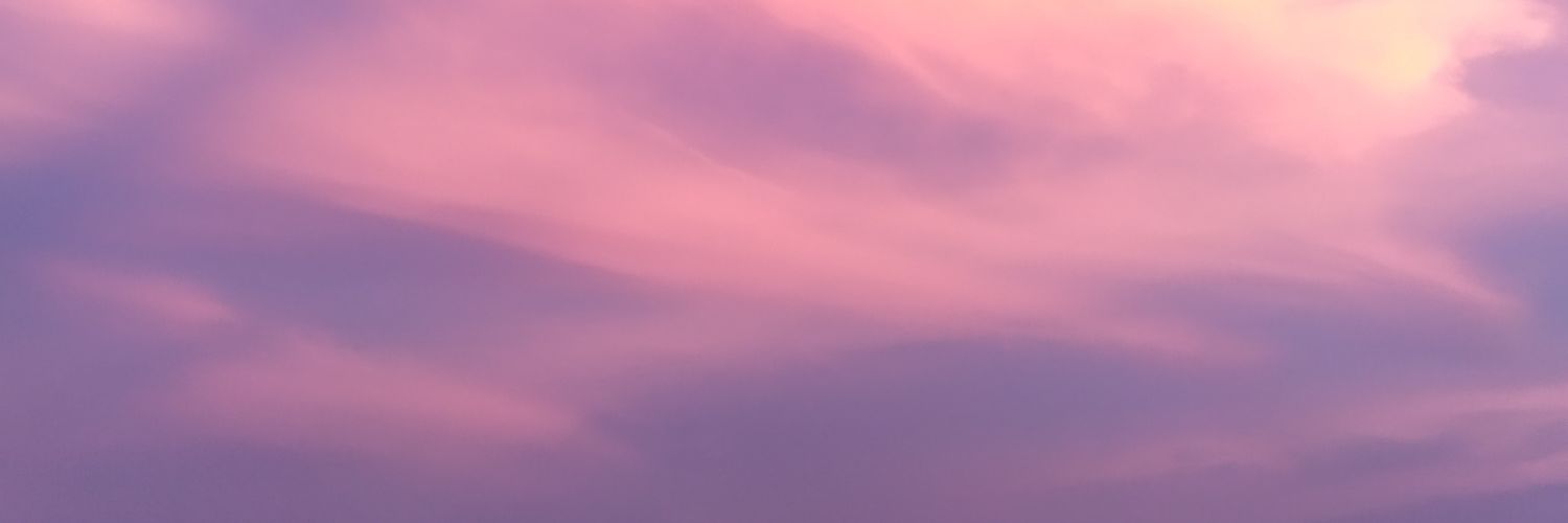 covallepard's profile banner image