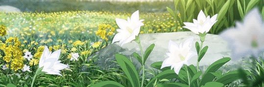SweetEevee45's profile banner image