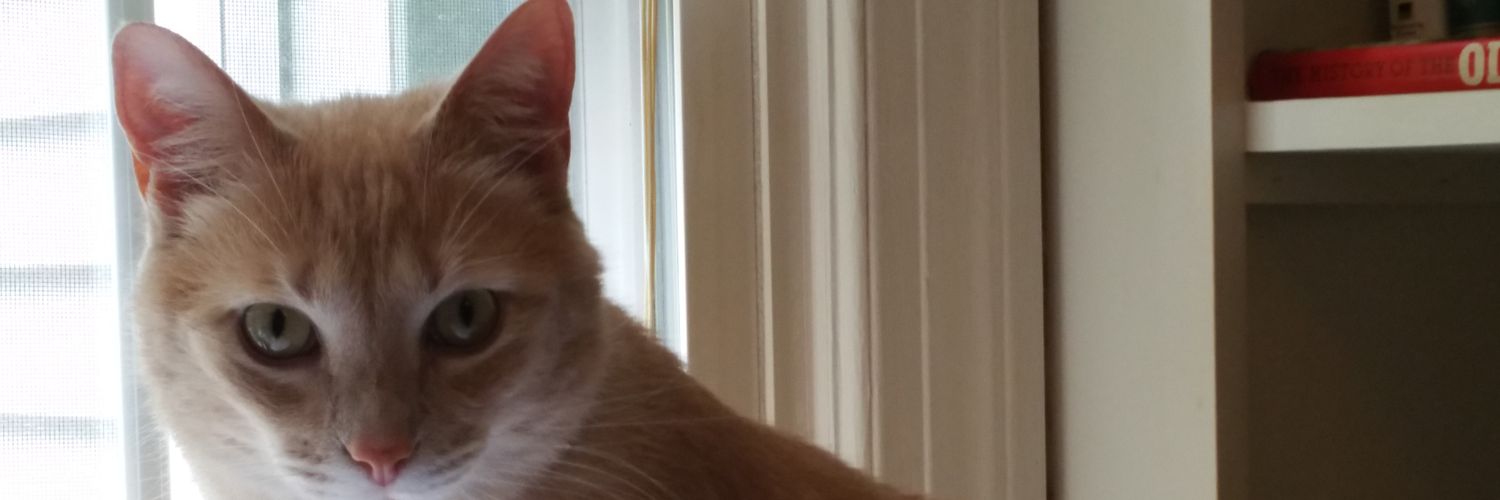 my_ilk's profile banner image