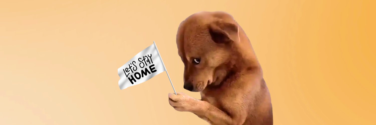introvert memes's banner