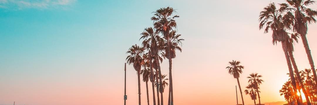🌴 ☽ 𝔅𝔦𝔱 𝔅𝔦𝔱𝔢 ☾ 🌴 banner