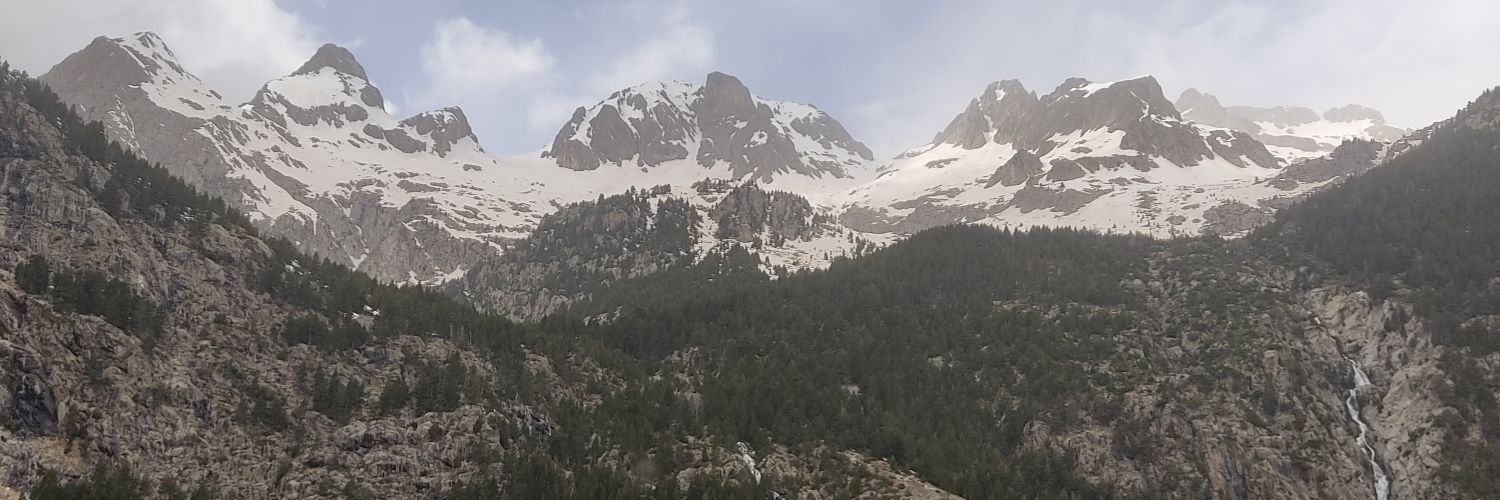 Judithconhache's profile banner image