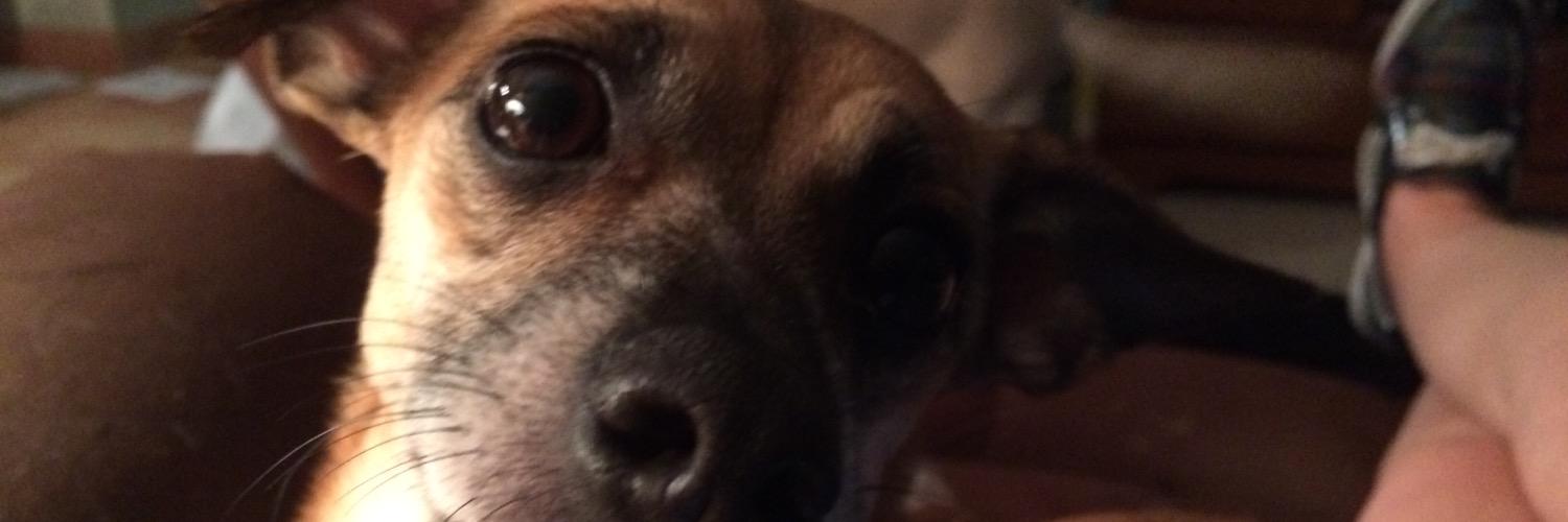 Goldiegal48's profile banner image
