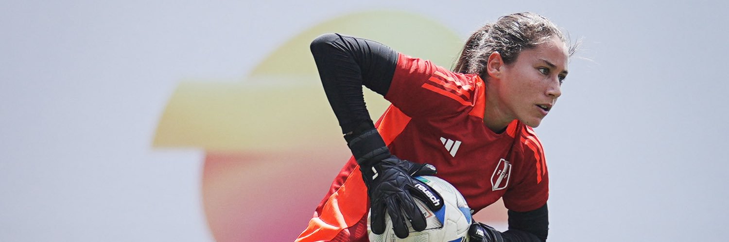silvanalfaro01's profile banner image