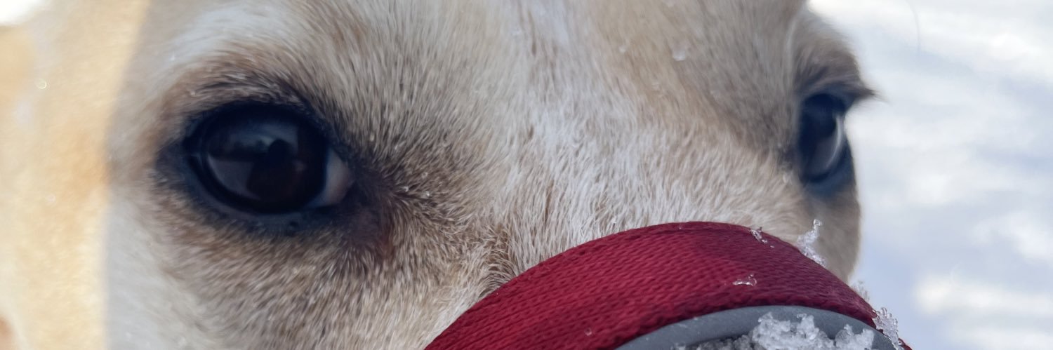 sally_reason's profile banner image