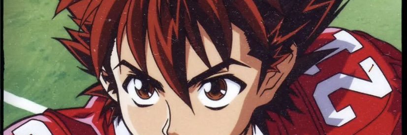 Dochra banner