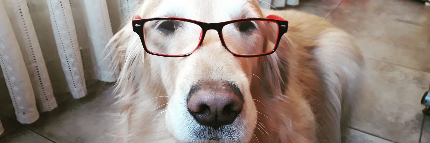 CaroHada's profile banner image