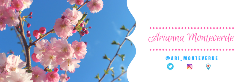 Ari_monteverde's profile banner image