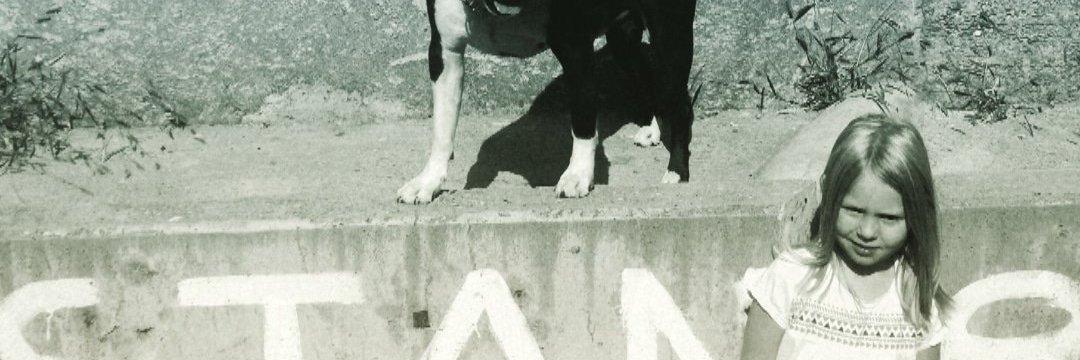 BoleKG's profile banner image