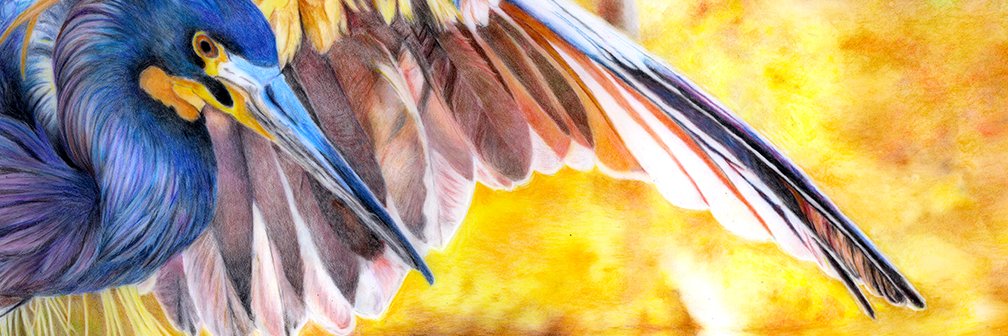 Eldclaw's profile banner image