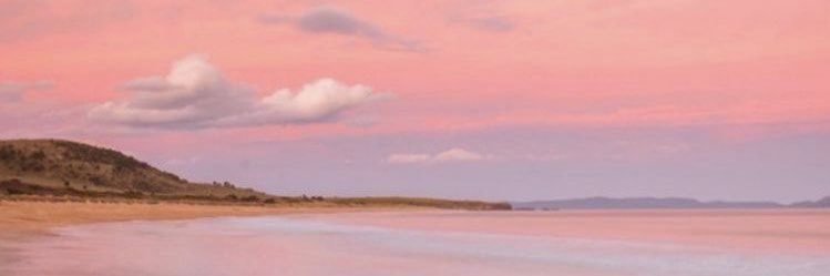 pau casso banner