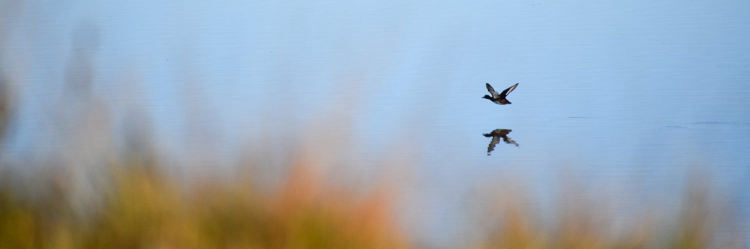 K, 100% a Gloomy 🦃 banner