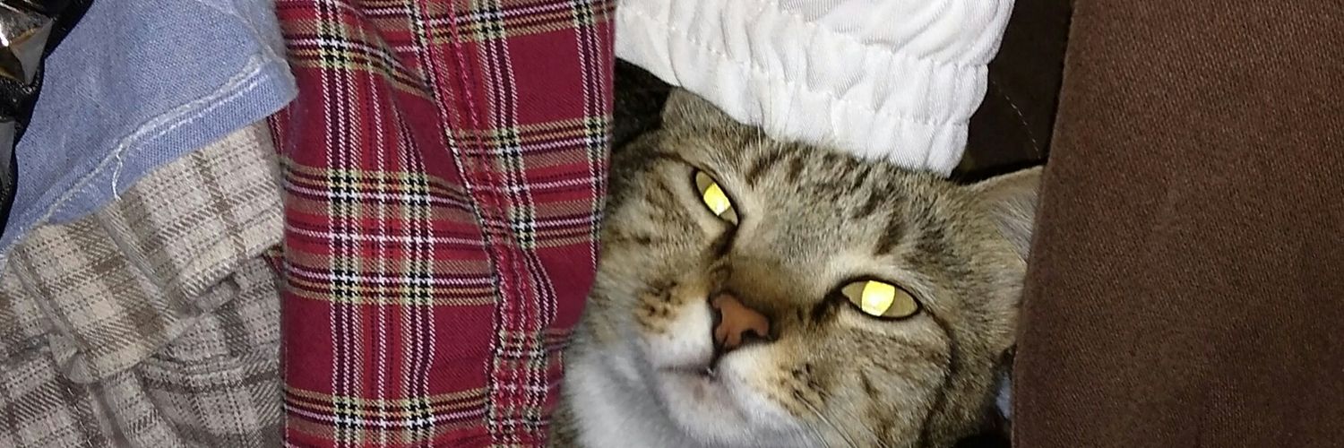 gapsyott's profile banner image