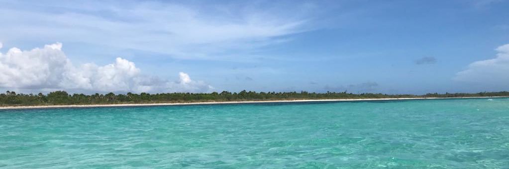pepeah_'s profile banner image
