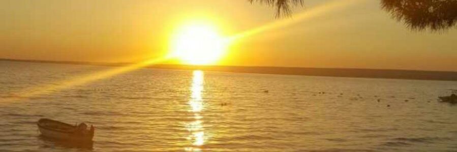 gm_010's profile banner image