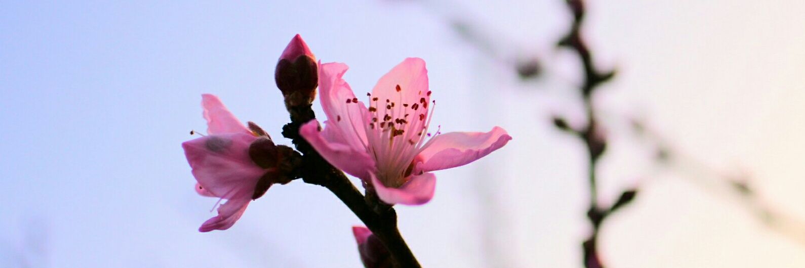 r__i0719's profile banner image