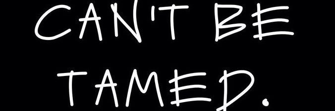 MsCatAstr0phe's profile banner image