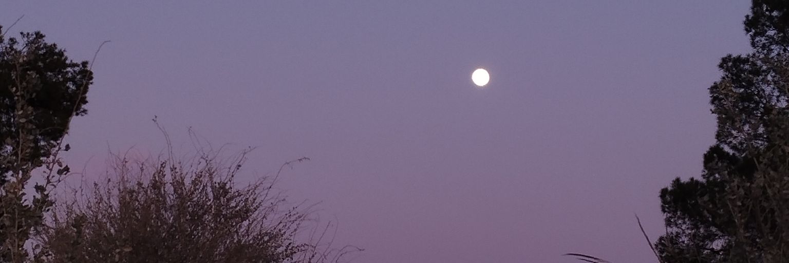 guarrockandroll's profile banner image
