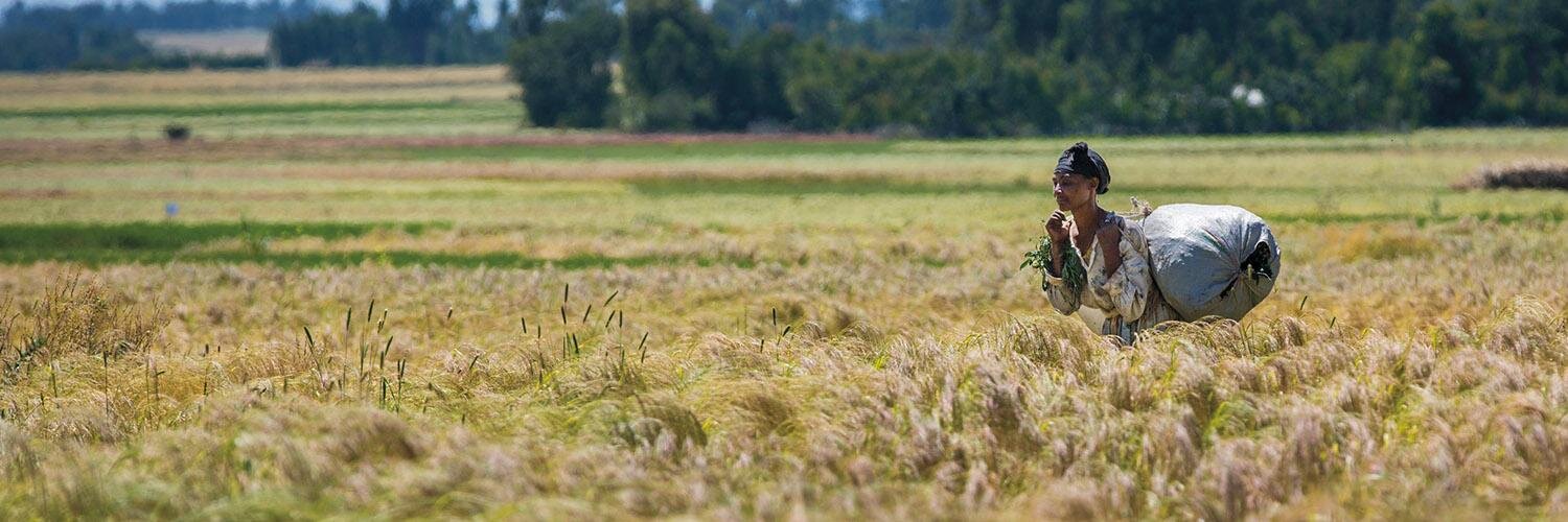 Gates Poverty banner