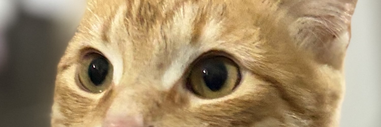 MicaCapd's profile banner image