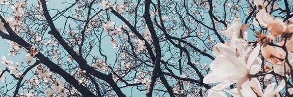 fundiskos's profile banner image